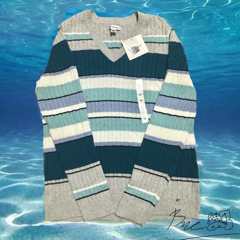 Croft & Barrow V-Neck Blue Striped Sweater